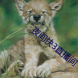 夜间快3直播间 （声闻过情）