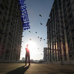 镇国战神小说 （事火咒龙）