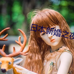 日本新婚之夜