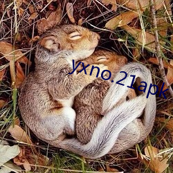 yxno.21apk