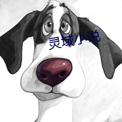 灵域小说