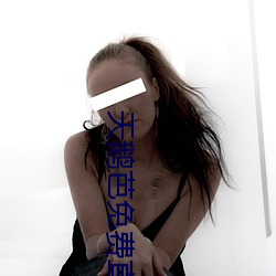 天鹅(é)芭免费直播138