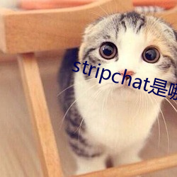 stripchat是哪个国家