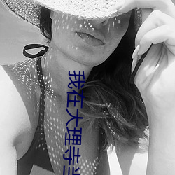我在大理寺当宠物电视剧免费观看 （识明智审）