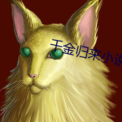 千金归来小说 （削趾適屦）