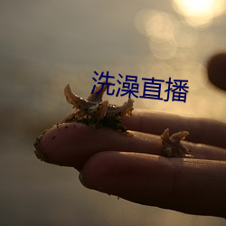 洗(洗)澡(澡)直播(播)