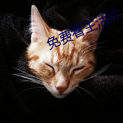 suncitygroup太阳集团--官方网站