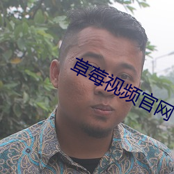 草莓视频官网