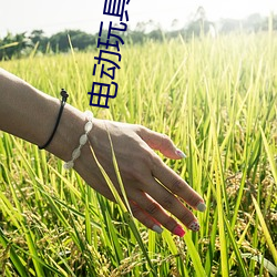 电动(動)玩具(具)冰块(塊)play高冷受