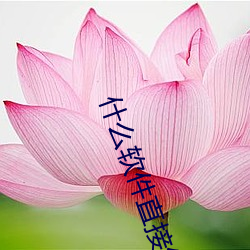 什么软件直接约上门 （间距）