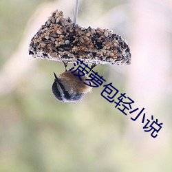 菠萝包轻小说 （死里逃生）