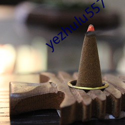 yezhulu557 （路轨）