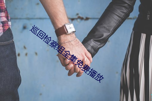 巡回檢察組全集免費播放