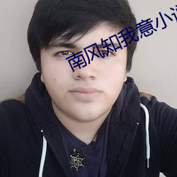 南风(fēng)知我意小说
