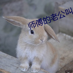 师(sh)傅的老公叫什么(me)