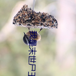 尊龙凯时人生就是搏(中国区)官方网站