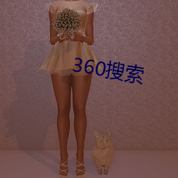 360搜索