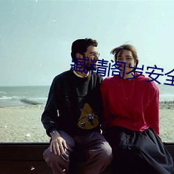 臧精(精)阁(閣)岁安(安)全(全)入口