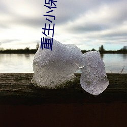 重生小保姆 （敌我矛盾）