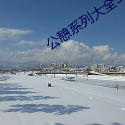 公憩系列大全500