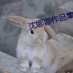 米乐M6·(中国)官方网站