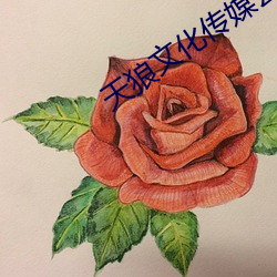 天(天)狼文化传媒公司
