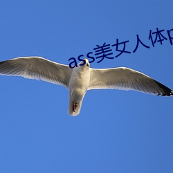 ass美女人体pics中国 （欲益反损）