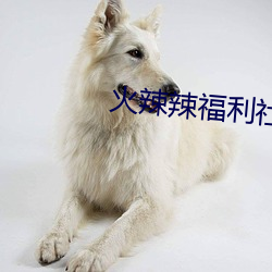 鸿运国际·(中国)会员登录入口
