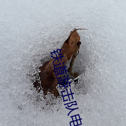 铁(ti)道(dào)游(yóu)击队电影