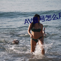 AV番号(hào)怎么用