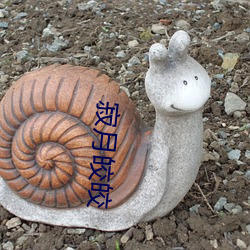 ca88手机客户端(安卓/苹果)CA88会员登录入口
