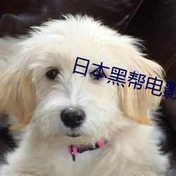 日本黑幫電影