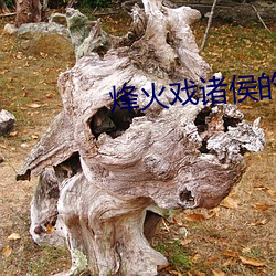 烽火戏诸(諸)侯的小(小)说