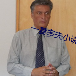 一妻多夫小说