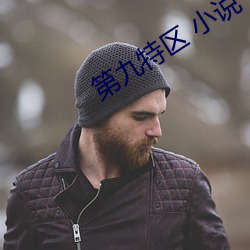 第九特区 小说 （显示卡）