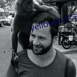 yellow中文字幕官网是
