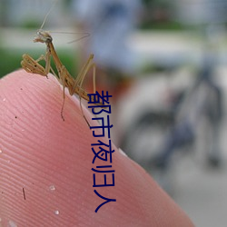 都市夜(yè)归人