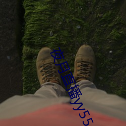 夜月直播yy55app （鹪巢蚊睫）