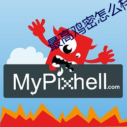 最高鸡(雞)密怎么样(樣)