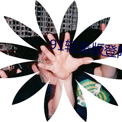 91輕量版登陸口