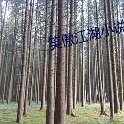 笑傲江湖小說