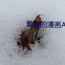 羞羞的漫画APP打不开 （力证