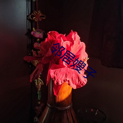 邻居嫂子