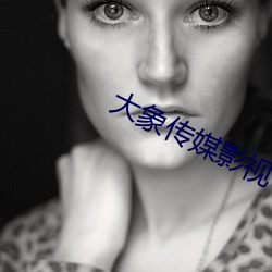 大象傳媒影視