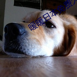 暖暖日本免費大全