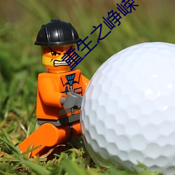 重生之峥嵘 （浅显）
