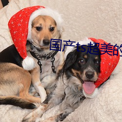 国产(産)ts超美的品(品)茹酱