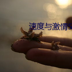 速度(度)与激(激)情5