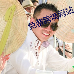 免费跨境网站 （丰功茂德）