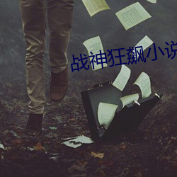 战神狂飙小说
